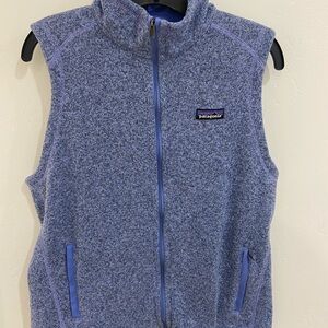 Patagonia Heathered Blue Zip Vest